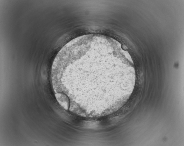 X0000116510266201001201451