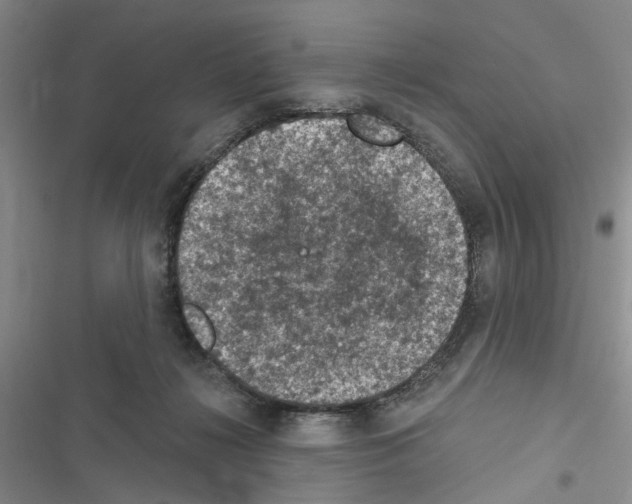 X0000116510268201001201451