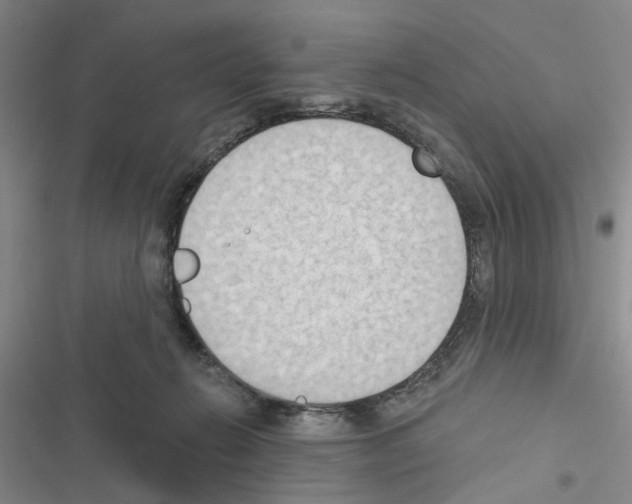 X0000116510270201001201451