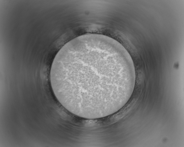 X0000116510273201001201451