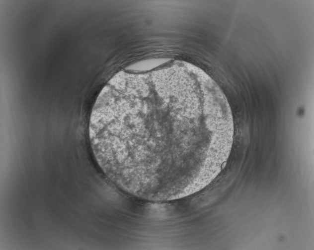 X0000116510277201001201451