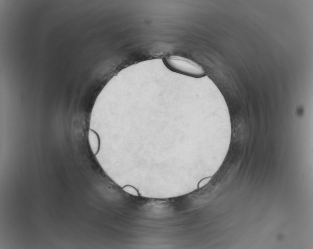 X0000116510280201001201451