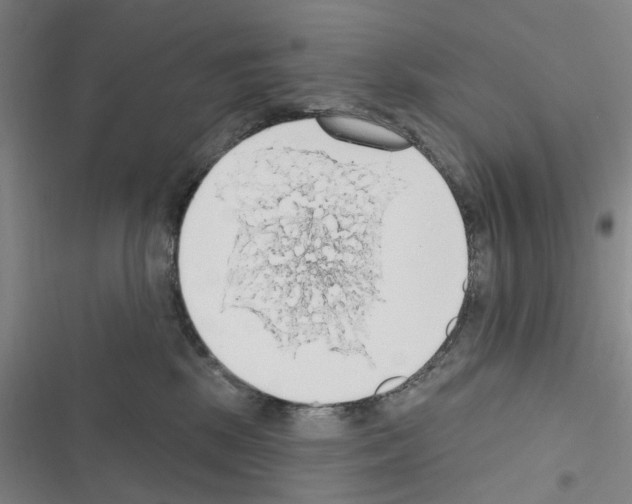 X0000116510281201001201451