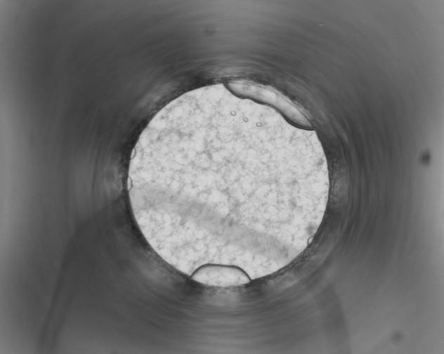 X0000116510282201001201451