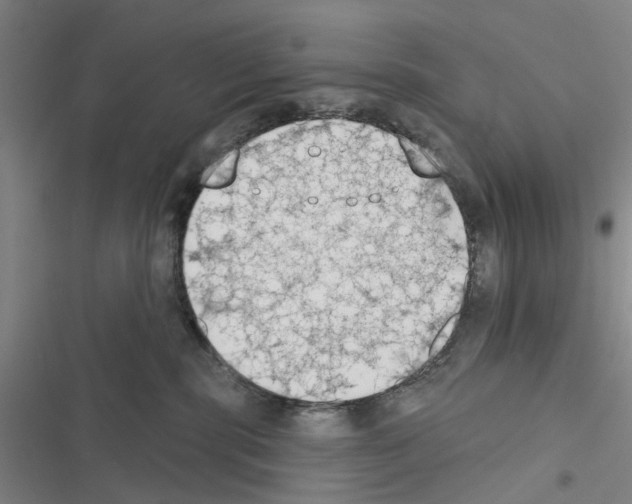 X0000116510283201001201451