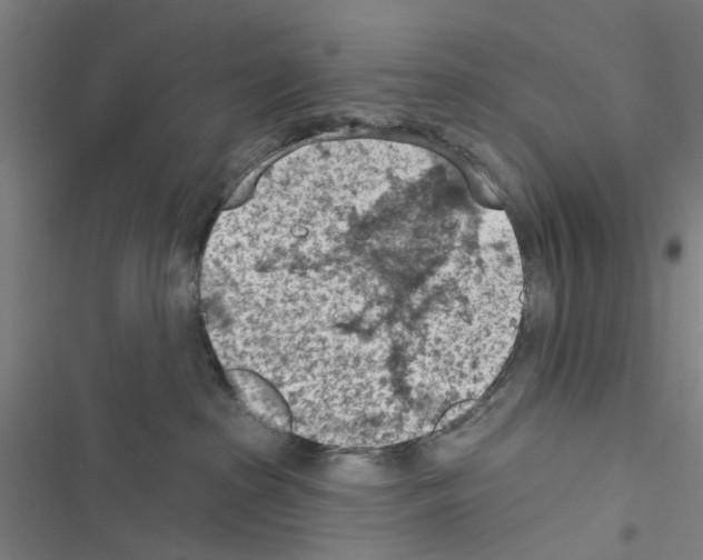 X0000116510285201001201451