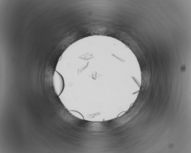 X0000116510287201001201451