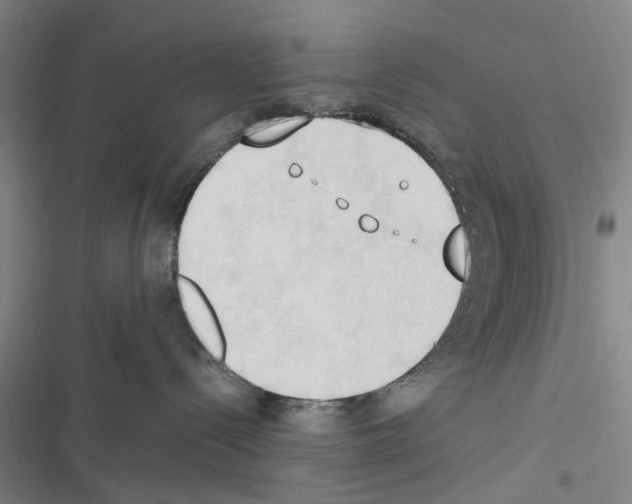 X0000116510288201001201451