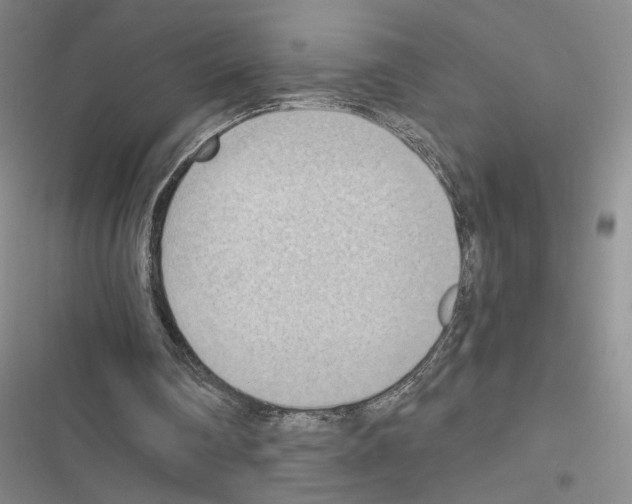 X0000116510290201001201451