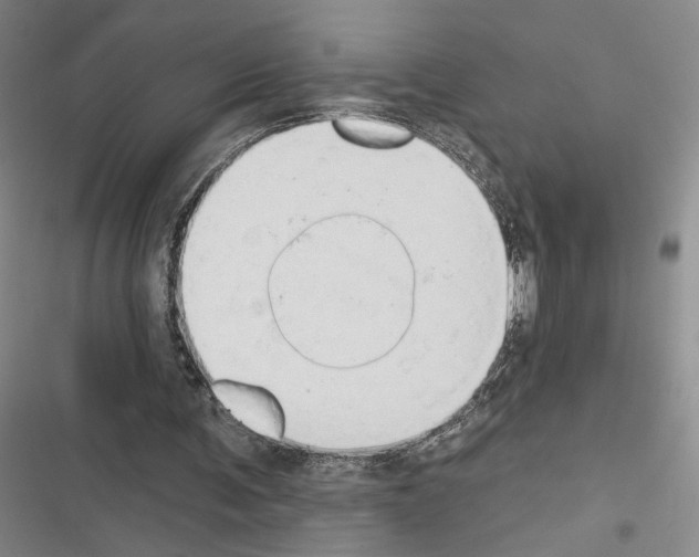 X0000116510291201001201451