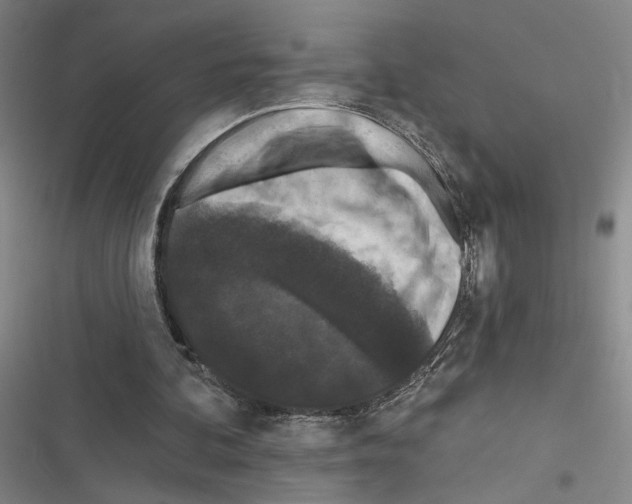 X0000116510292201001201451