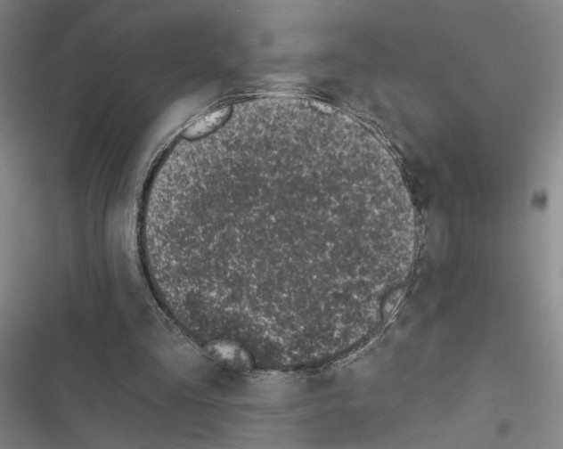 X0000116510293201001201451
