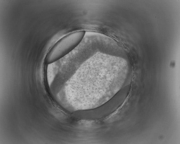 X0000116510294201001201451