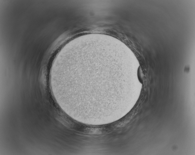 X0000116510295201001201451
