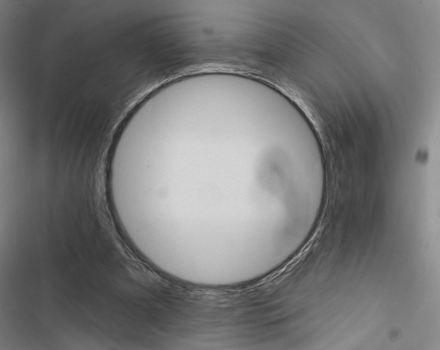 X0000116510297201001201451