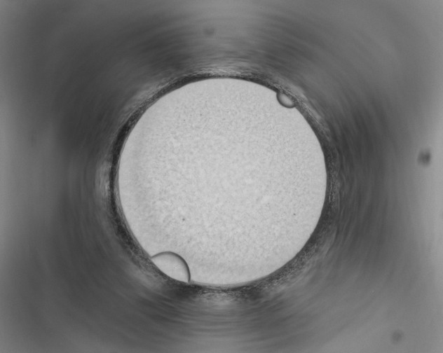 X0000116510299201001201451