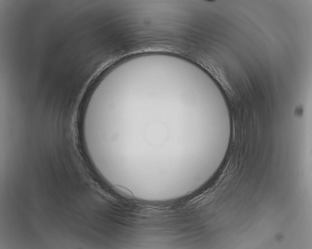 X0000116510300201001201451