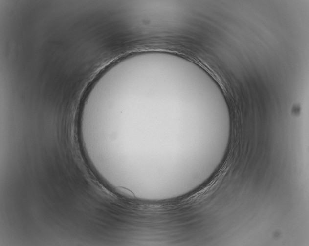 X0000116510301201001201451