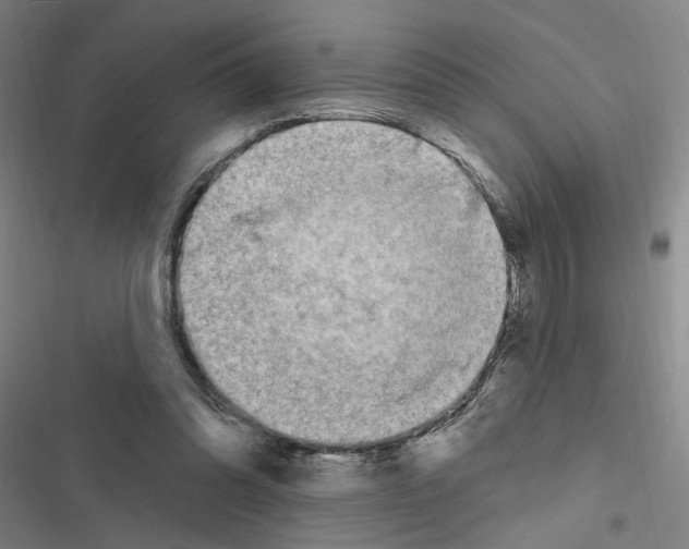 X0000116510302201001201451