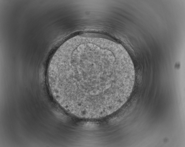 X0000116510303201001201451