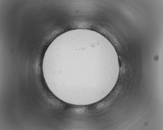 X0000116510306201001201451