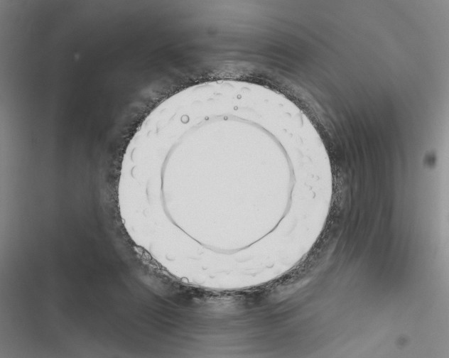 X0000116510307201001201451