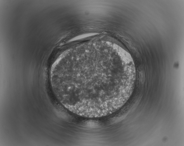 X0000116510308201001201451