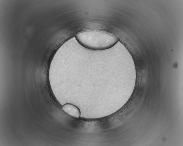 X0000116510309201001201450