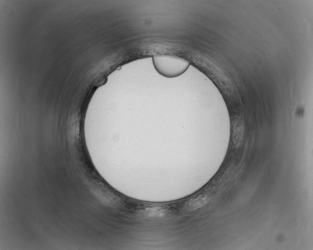 X0000116510310201001201450