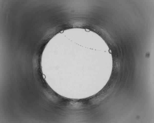 X0000116510311201001201450
