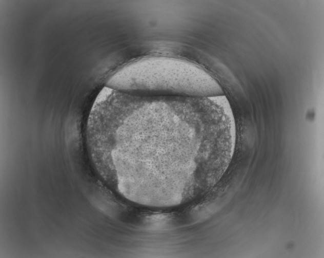 X0000116510312201001201450