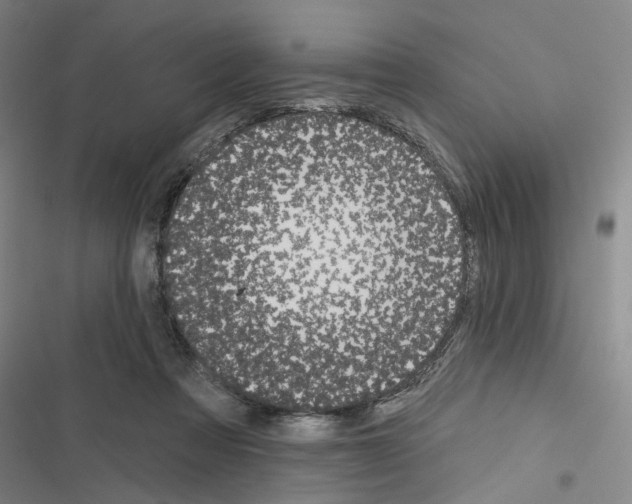 X0000116510313201001201450