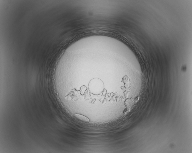 X0000116510316201001201450