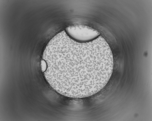 X0000116510317201001201450