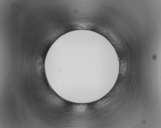 X0000116510318201001201450