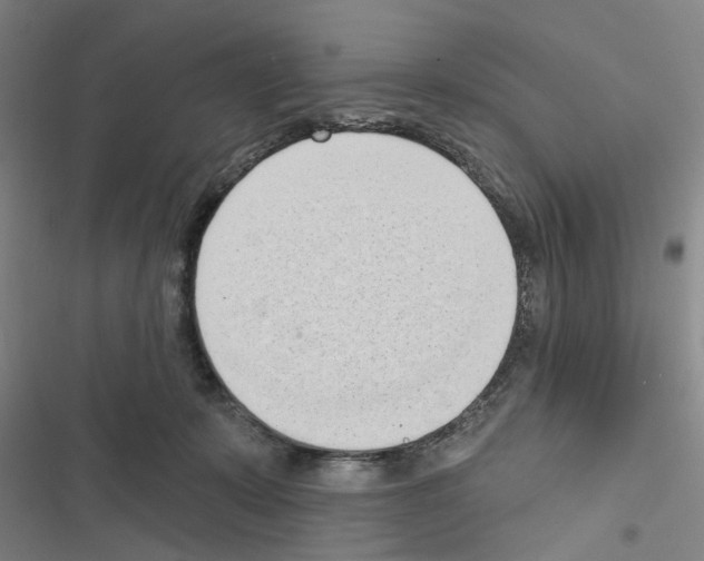 X0000116510319201001201450