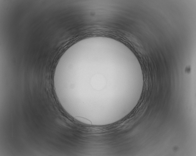 X0000116510320201001201450