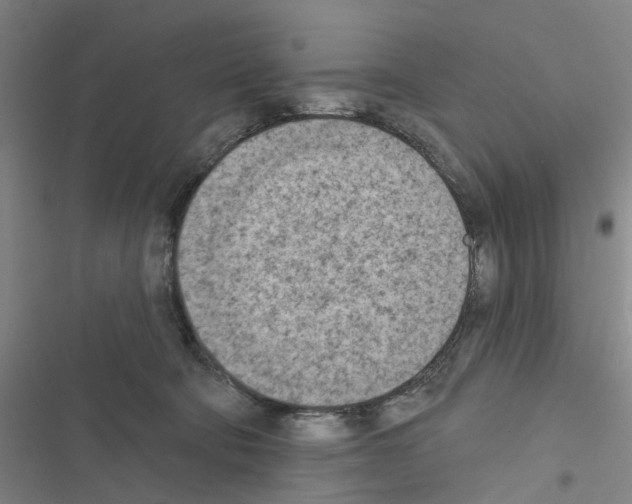 X0000116510322201001201450