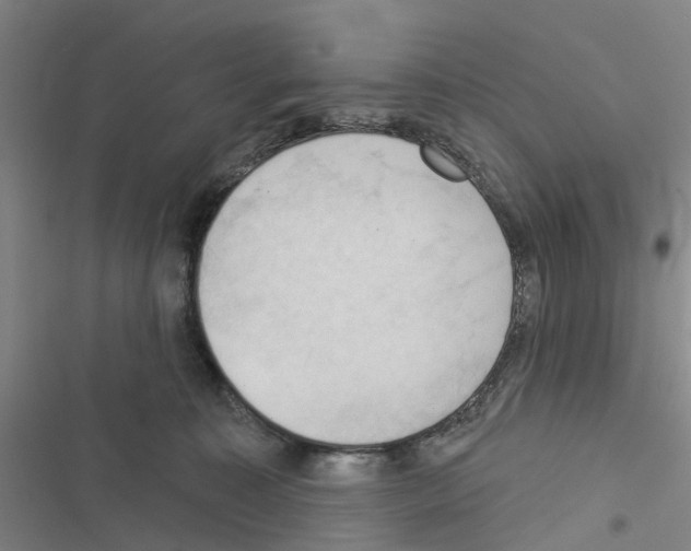 X0000116510323201001201450