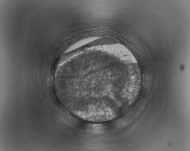 X0000116510324201001201450