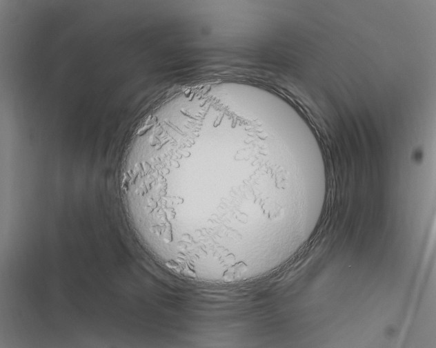 X0000116510325201001201450