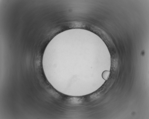 X0000116510326201001201450