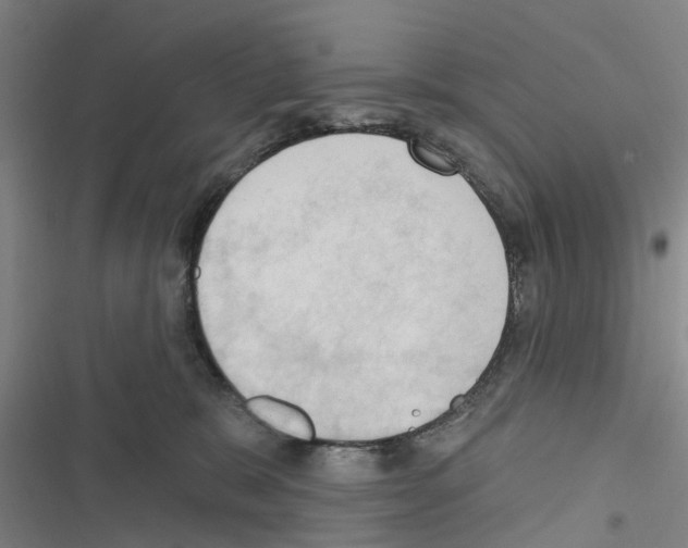 X0000116510327201001201450