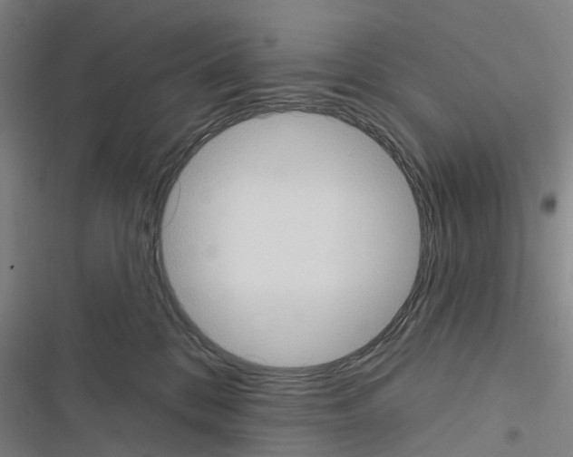 X0000116510328201001201450