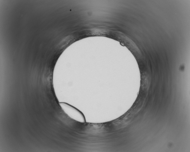 X0000116510329201001201450