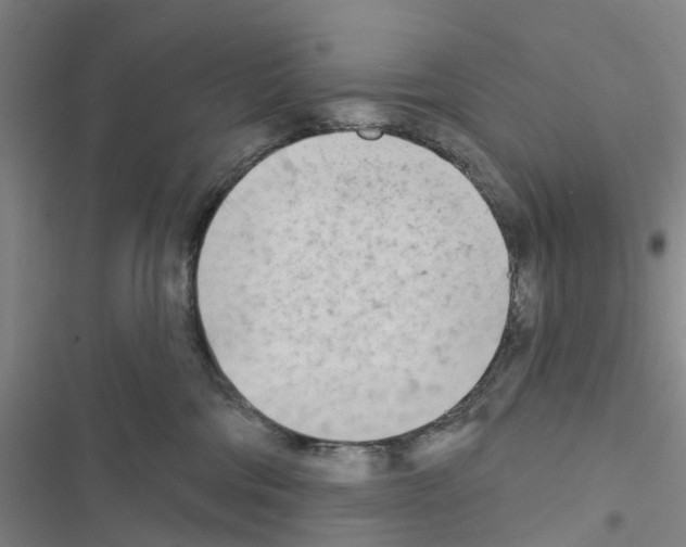 X0000116510330201001201450