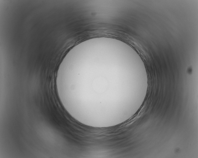 X0000116510333201001201450