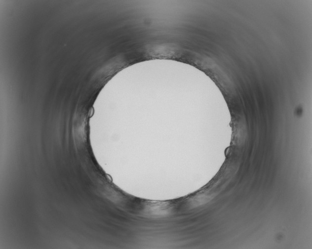 X0000116510334201001201450
