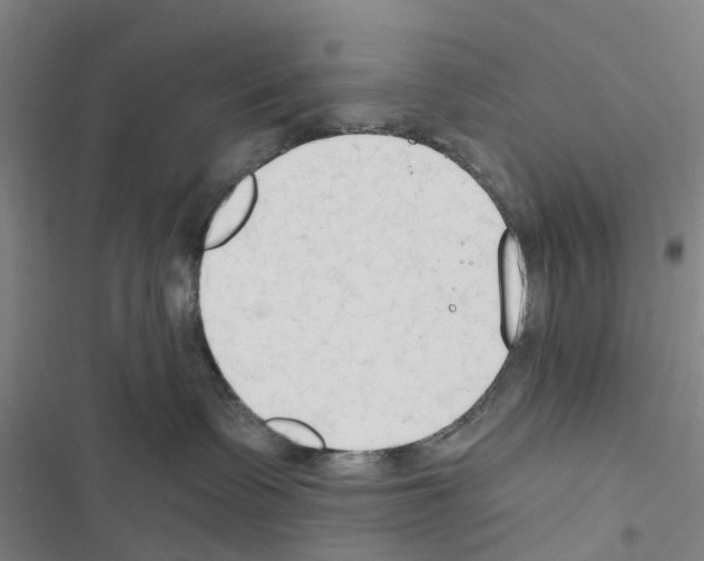 X0000116510335201001201450