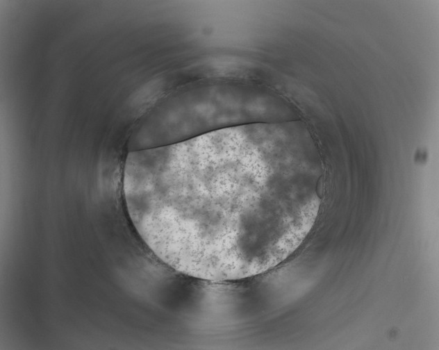 X0000116510336201001201450